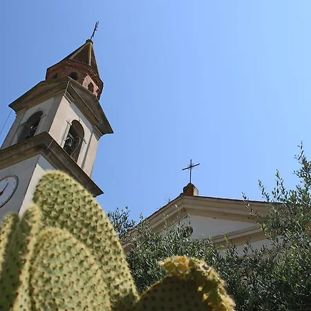 Cinto Euganeo
